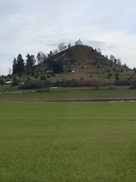IMG_20241124_145639.jpg