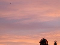 IMG_20241124_164834.jpg