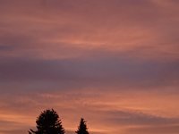 IMG_20241124_164849_1.jpg