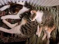 2024-11-26 Flecki und Molly_185757.webp