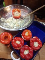 IMG_20241128_183919.jpg
