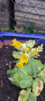 20241129_140744.webp