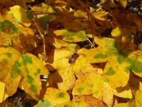 022.webp