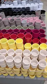 20241120_115437.webp