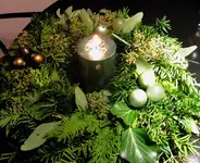 DSCN6225.webp