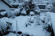 Dezember   0523.webp