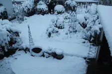 Dezember   0823.webp