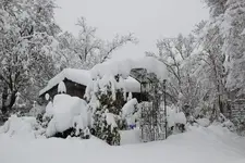 Dezember   2823.webp