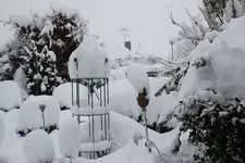 Dezember   3123.webp