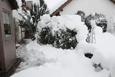 Dezember   3223.webp