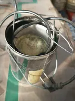 IMG_20241130_095753.webp