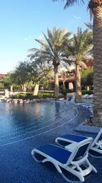 20241203_163031.webp
