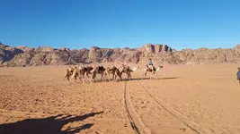 20241203_090300.webp