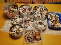 IMG_20241205_182021.webp