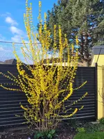 20230314_082027.webp