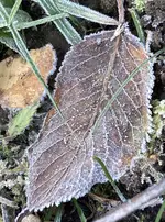 IMG_3637.webp IMG_3637.webp