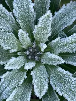 IMG_3638.webp IMG_3638.webp