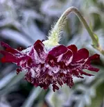 IMG_3640.webp IMG_3640.webp