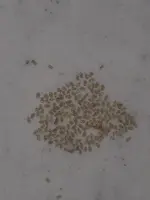 20241207_093614 - Kopie.webp