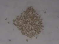 20241207_093648 - Kopie.webp