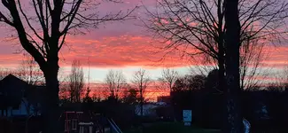 20241208_162445.webp