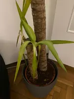 WhatsApp Image 2024-12-08 at 23.05.31(1).webp WhatsApp Image 2024-12-08 at 23.05.31(1).webp