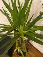 WhatsApp Image 2024-12-08 at 23.05.31(2).webp WhatsApp Image 2024-12-08 at 23.05.31(2).webp