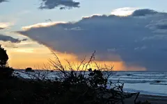 IMG_8201 - Copy.webp