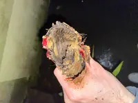 WhatsApp Image 2024-12-09 at 18.41.44(2).webp WhatsApp Image 2024-12-09 at 18.41.44(2).webp