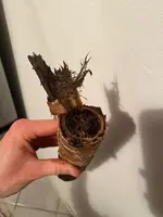 WhatsApp Image 2024-12-09 at 18.46.18.webp WhatsApp Image 2024-12-09 at 18.46.18.webp