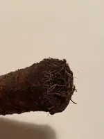 WhatsApp Image 2024-12-09 at 18.46.18(1).webp WhatsApp Image 2024-12-09 at 18.46.18(1).webp