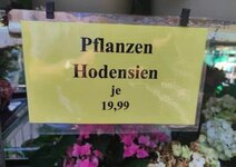 Hodensien.jpg