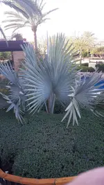 20241203_162655.webp