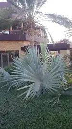 20241203_162702.webp