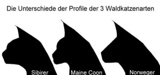 Screenshot_20190514-165249_Facebook.webp