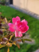 20241214_101335.webp