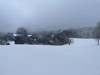 IMG_8126.webp IMG_8126.webp