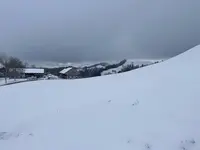 IMG_8128.webp IMG_8128.webp