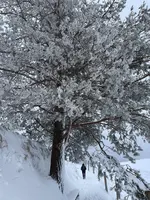 IMG_8129.webp IMG_8129.webp