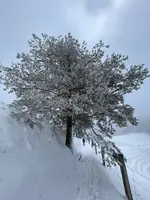 IMG_8130.webp IMG_8130.webp