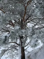 IMG_8131.webp IMG_8131.webp