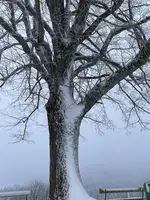 IMG_8133.webp IMG_8133.webp