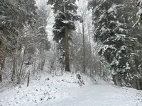 IMG_8135.webp IMG_8135.webp