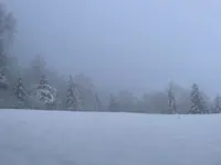 IMG_8142.webp IMG_8142.webp