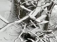 IMG_8145.webp IMG_8145.webp