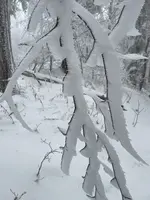 IMG_8147.webp IMG_8147.webp