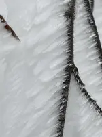 IMG_8149.webp IMG_8149.webp