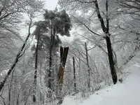 IMG_8150.webp IMG_8150.webp