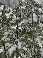 IMG_8161.webp IMG_8161.webp