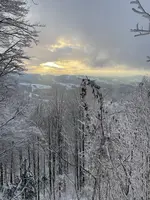 IMG_8163.webp IMG_8163.webp